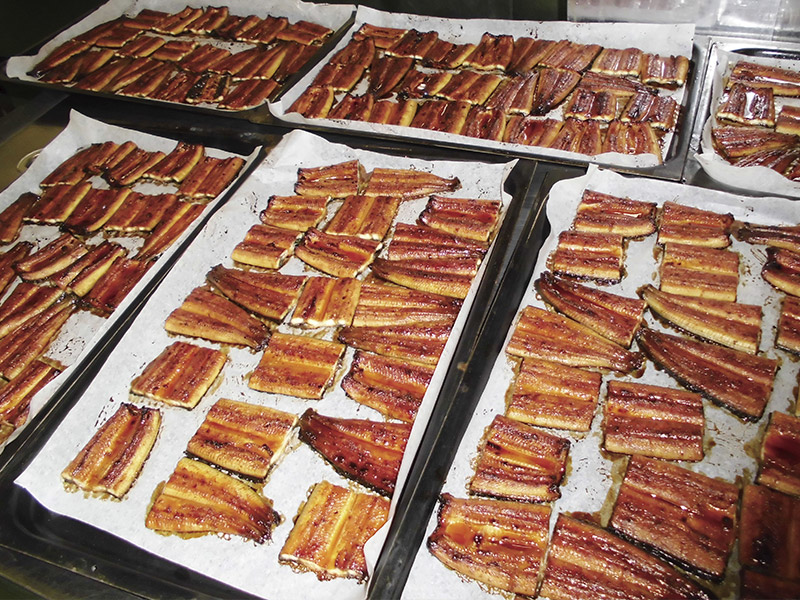 鹿児島県志布志市 うなぎの蒲焼